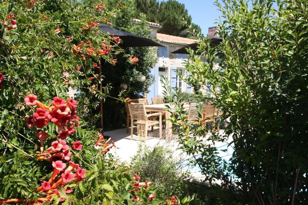 Gîte Rochellier - Charente-Maritime Cravans Extérieur photo